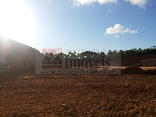 Terreno para alugar, 30000m² - Foto 2