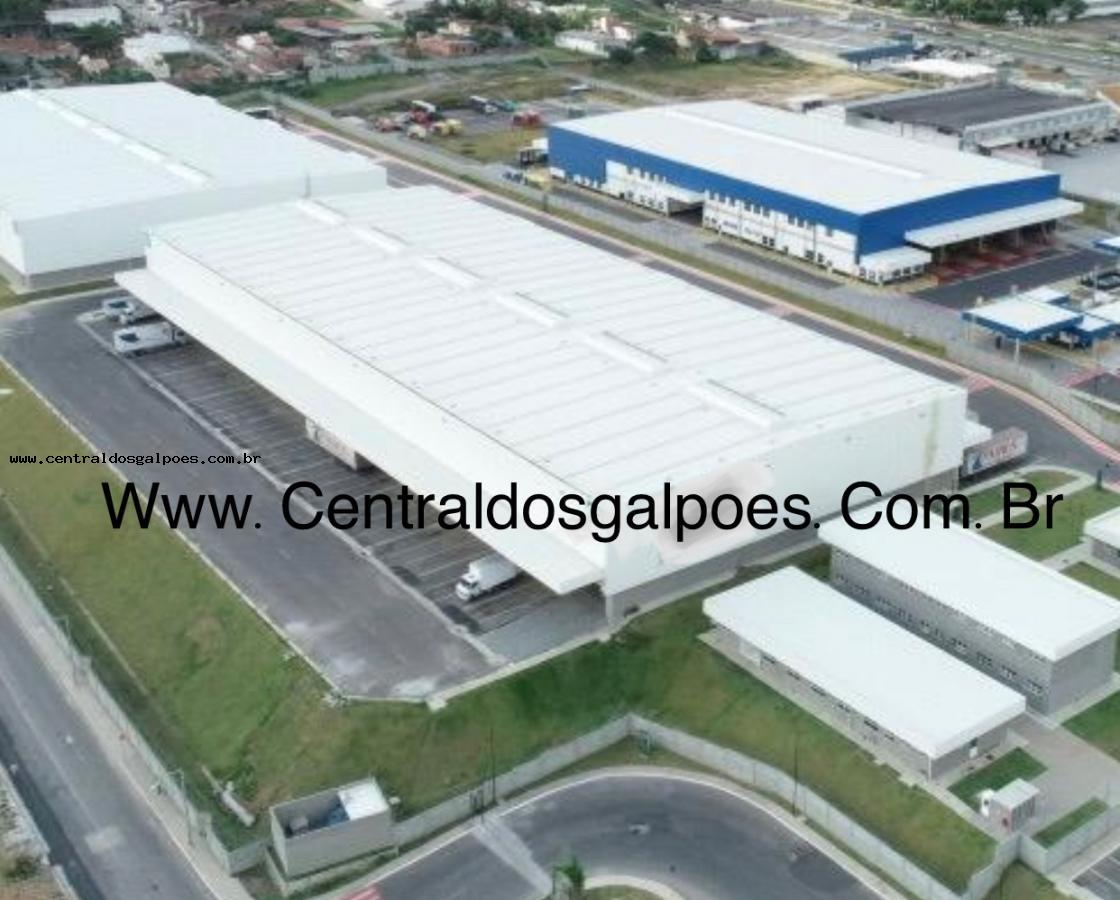 Depósito-Galpão-Armazém para alugar, 2000m² - Foto 6