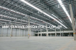 Depósito-Galpão, 1000 m² - Foto 2