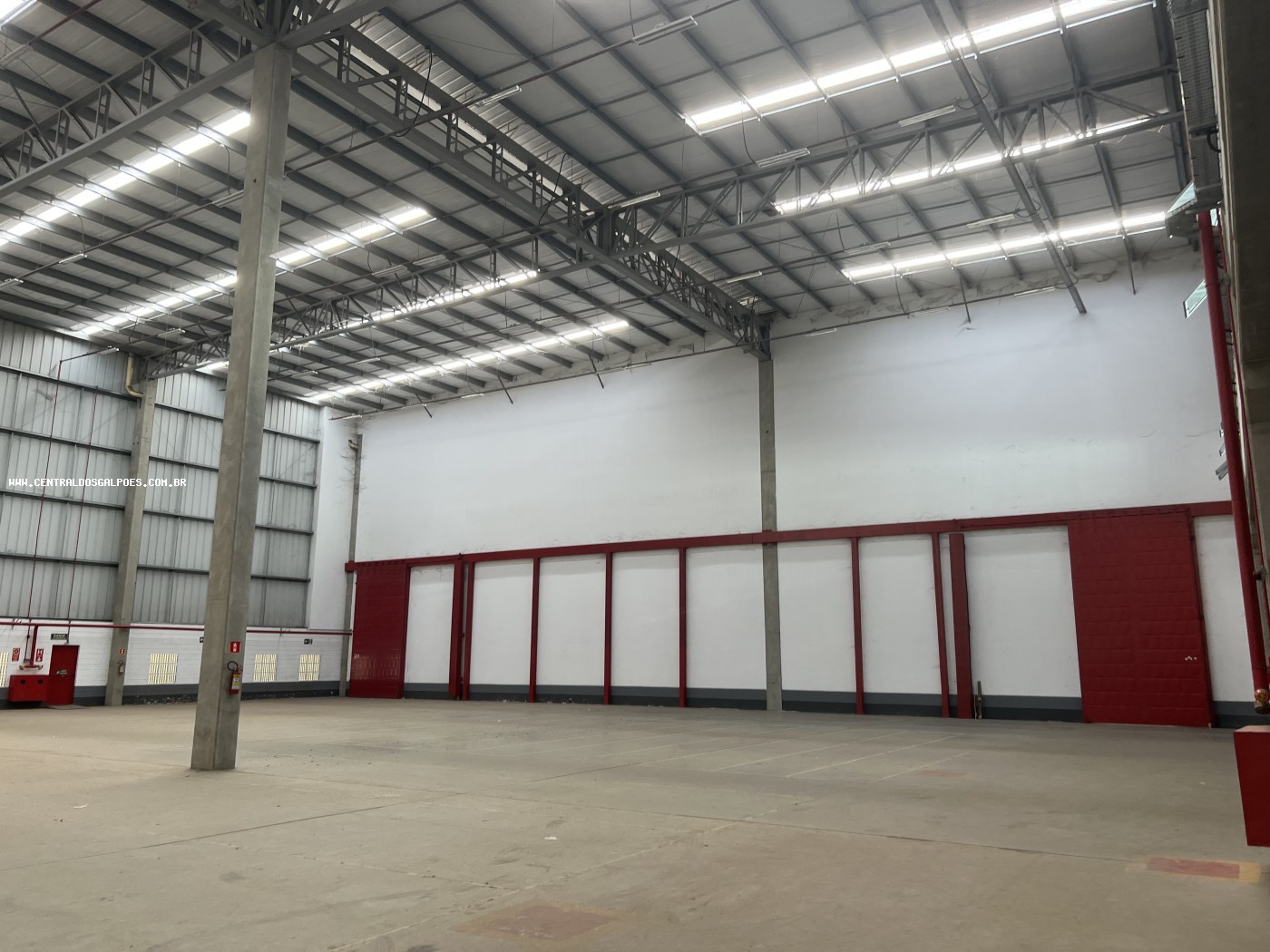 Depósito-Galpão, 5000 m² - Foto 3