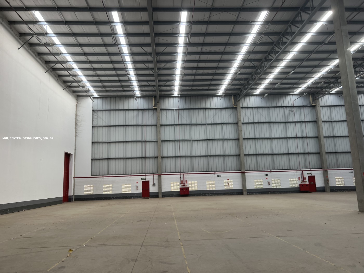 Depósito-Galpão, 5000 m² - Foto 4