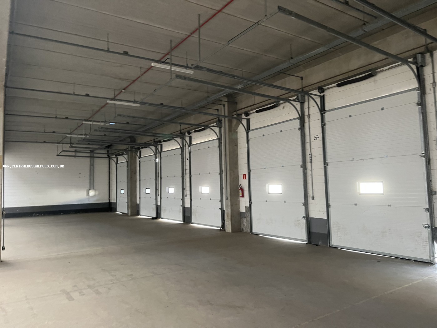 Depósito-Galpão, 5000 m² - Foto 5
