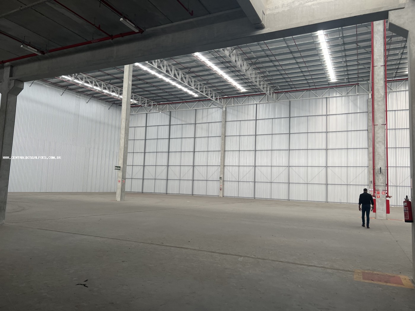 Depósito-Galpão, 2000 m² - Foto 3